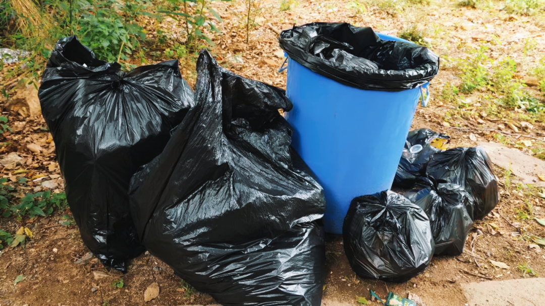 世界环境日 | AG旗舰厅开展2025公益净山活动 世界环境日 | AG旗舰厅开展2025公益净山活动